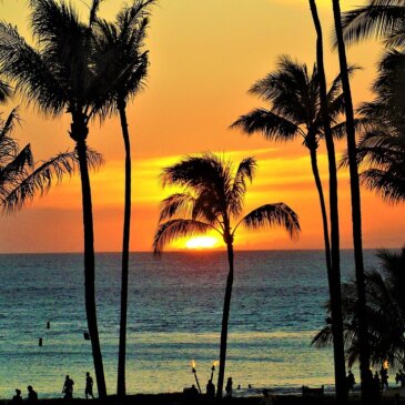 Hawaii foreslår turistgebyr til finansiering af miljøbeskyttelse