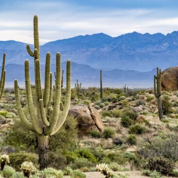 Visum til Arizona